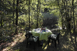 Fr&uuml;hst&uuml;cks Tisch